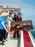 Lobster tours with Joeys Deep Sea Fishing